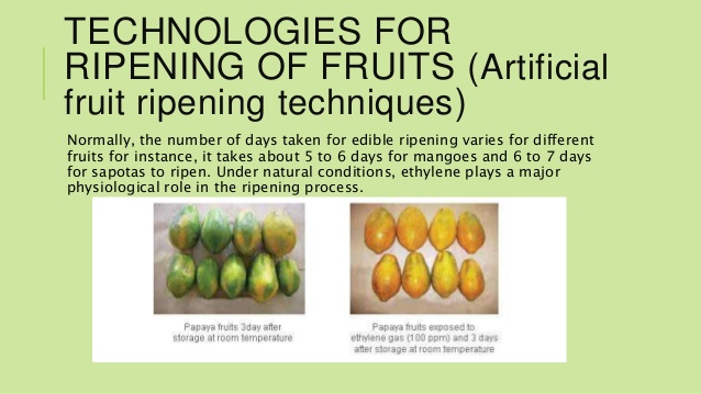 Artificial Ripening Of Fruits Pdf To Word